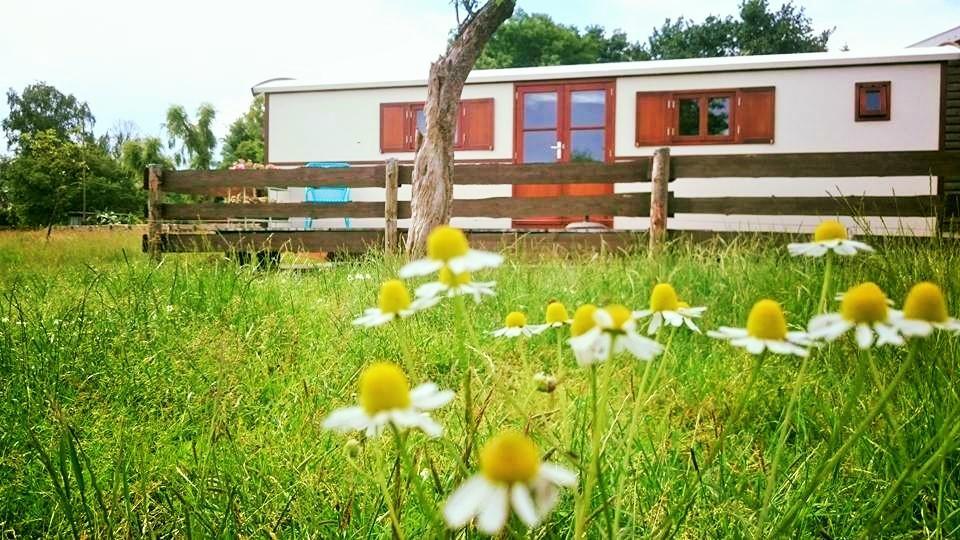 ウェースプ Boerderij Honswijckゲストハウス エクステリア 写真
