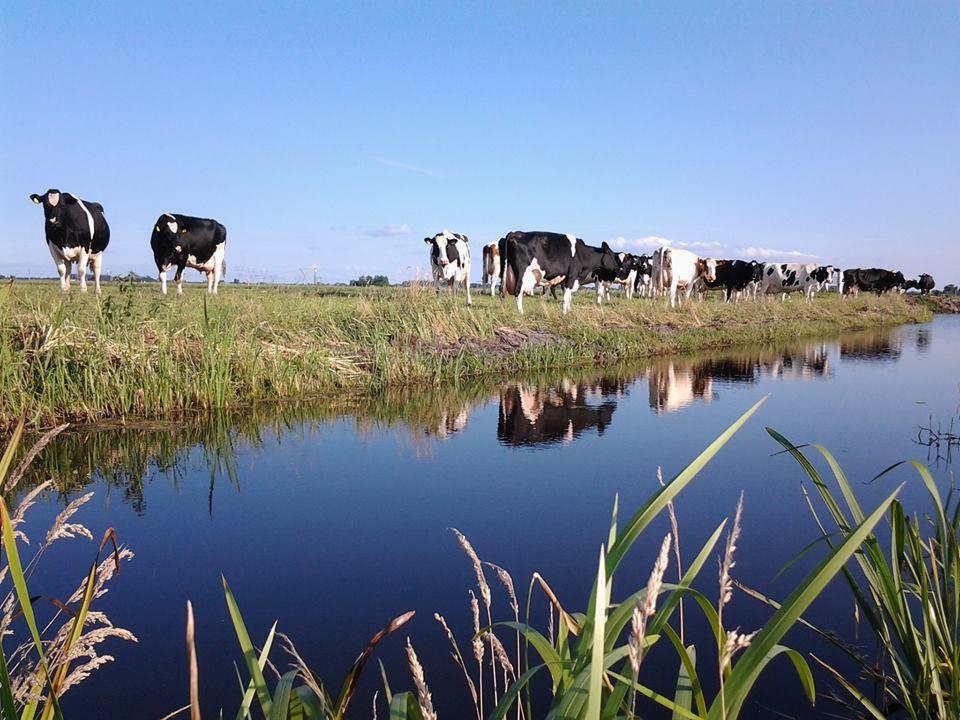 ウェースプ Boerderij Honswijckゲストハウス エクステリア 写真